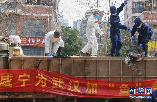 3月13日，一批運(yùn)到湖北省武漢市硚口區(qū)華生漢口城市廣場(chǎng)社區(qū)的活魚在卸貨。當(dāng)日，首批100噸調(diào)配自咸寧市的活魚運(yùn)抵武漢市硚口區(qū)11個(gè)街道下轄社區(qū)。 新華社記者 程敏 攝