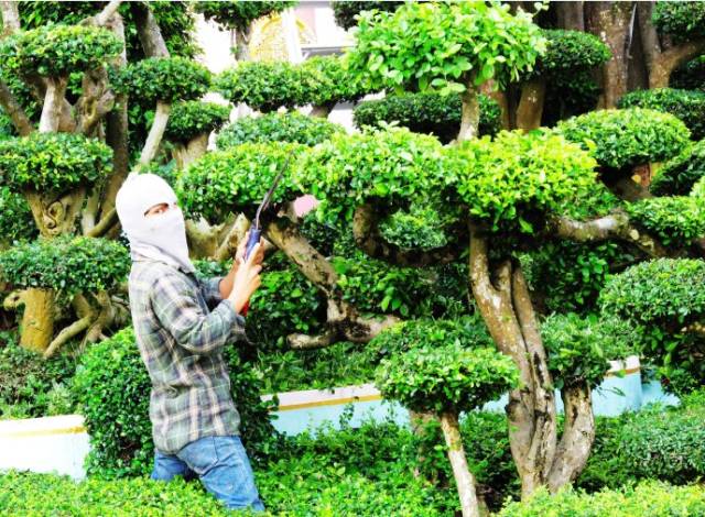 說(shuō)明: http://w6.sanwen8.cn/mmbiz_png/mxkTTySGORAia0VwoBqfWAHfRfjibqq0dnBKAmgFH3mtKmQIaTbuUKOveIORqAxeUSEVEgiaLia9sSt5Kesw5HMhDA/640?wx_fmt=png